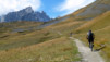 Cols_Ferret_10_020
