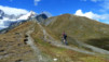 Cols_Ferret_10_023