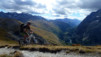 Cols_Ferret_10_024