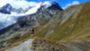 Cols_Ferret_10_025