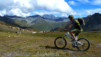Cols_Ferret_10_026