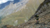 Cols_Ferret_10_030