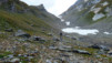 Cols_Ferret_10_031