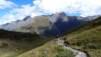 Cols_Ferret_10_032