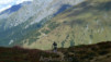 Cols_Ferret_10_034