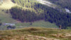 Cols_Ferret_10_035