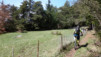 Cordona_14_002