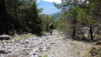 Cordona_14_014