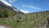 Cordona_14_021
