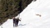 Creta_Vella_12_028