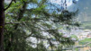 Croix_O_019.jpg