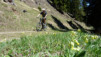 Curala_005