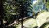 Curala_014