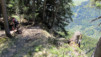Curala_016