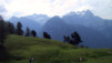 Demecre_018.jpg