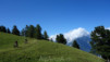 Demecre_13_003