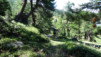 Demecre_13_004