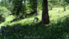 Demecre_13_039