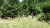 Demecre_13_040
