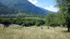Demecre_13_042