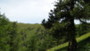 Demecre_Chalet-Neuf_006.jpg