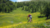 Demecre_Chalet-Neuf_008.jpg