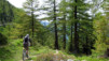 Demecre_Chalet-Neuf_036.jpg