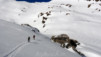 Dent_Morcles_12_009