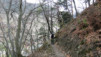 Ecoteaux_12_005