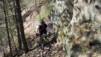Ecoteaux_12_013