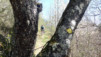 Ecoteaux_12_018