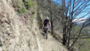 Ecoteaux_12_022