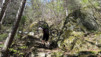 Ecoteaux_12_027