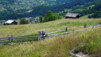 Des haies et un lièvre. Eischollalp_014