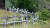 Double cordon pour freerider rebelle. Eischollalp_015
