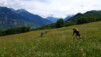 Le petit slalom dans la prairie. Eischollalp_016