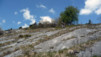 Engersch_015.jpg