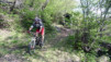 Engersch_030.jpg