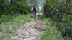 Engersch_031.jpg