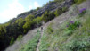 Engersch_039.jpg