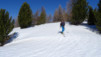 Ergischalphorn_008