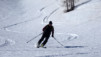 Ergischalphorn_028