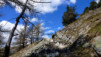 Erl_008