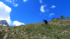 Erl_025