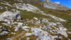 Etang_30_Pas_11_010