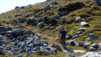 Etang_30_Pas_11_011
