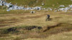 Etang_30_Pas_11_015