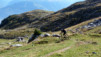 Etang_30_Pas_11_018