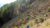 Le parcours roulant devient enchanteur à mesure que nous nous enfonçons dans la profonde forêt de mélèzes Evolene_Lac_Bleu_003.jpg