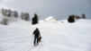 Galice, la chienne, souvent en tête dans la montée. Fava_08_006.jpg